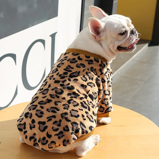 Pet Jackets for Autumn Winter