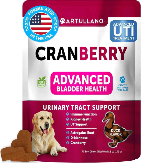 Dog UTI Cranberry Supplement
