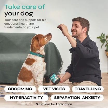 Soft Chews for Stress & Anxiety Relief