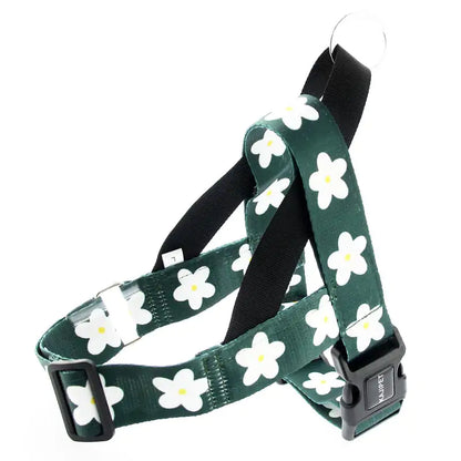 Adult Dog Leash
