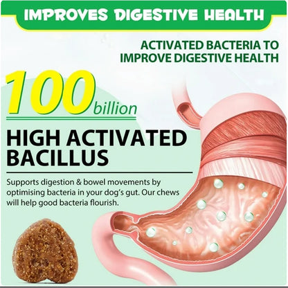 OEM Probiotics Chews for Pets