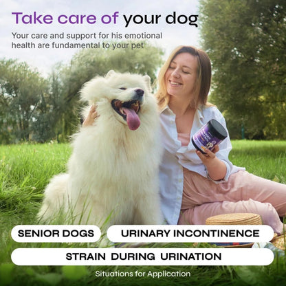Dog UTI Treatment